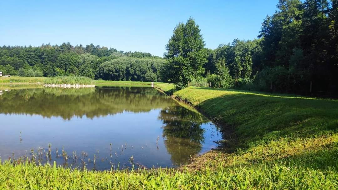 Agroturystyka Chycina Luaran gambar