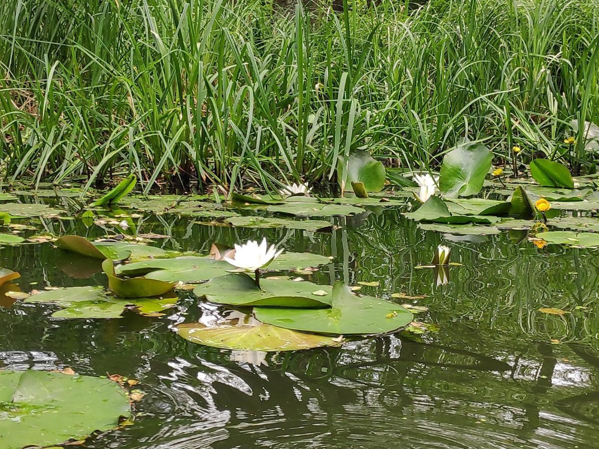 Agroturystyka Chycina Luaran gambar