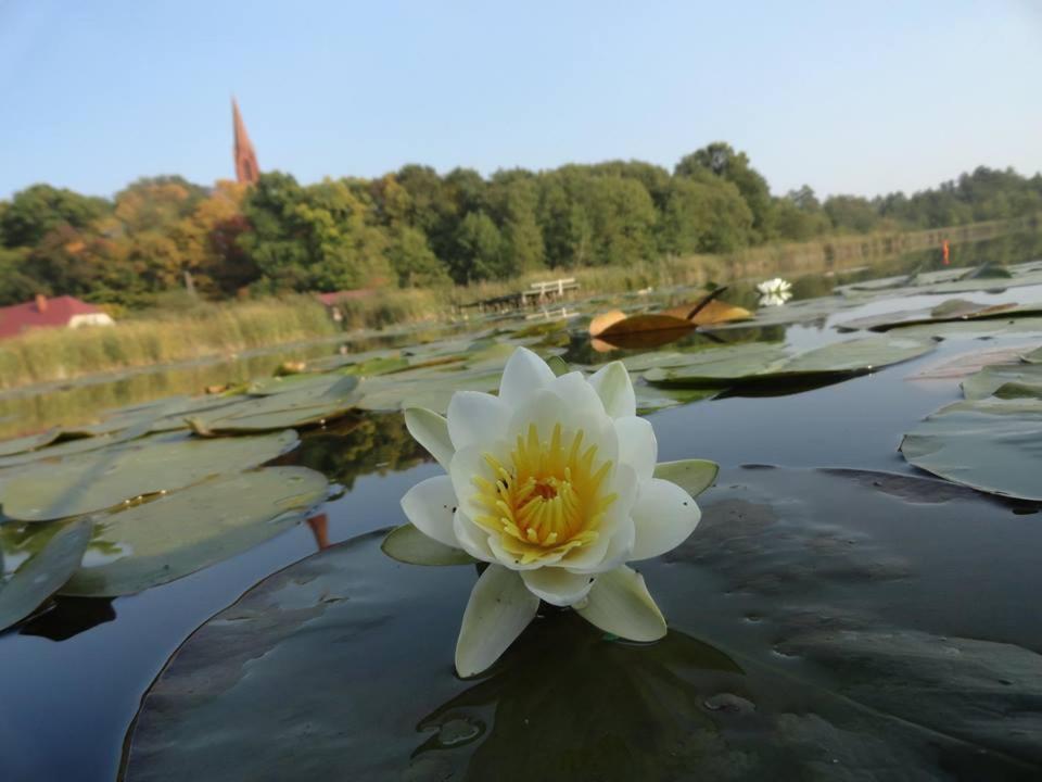 Agroturystyka Chycina Luaran gambar